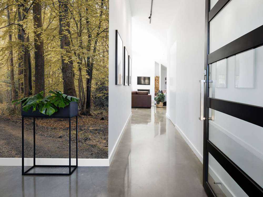 Väg genom den gröna skogen