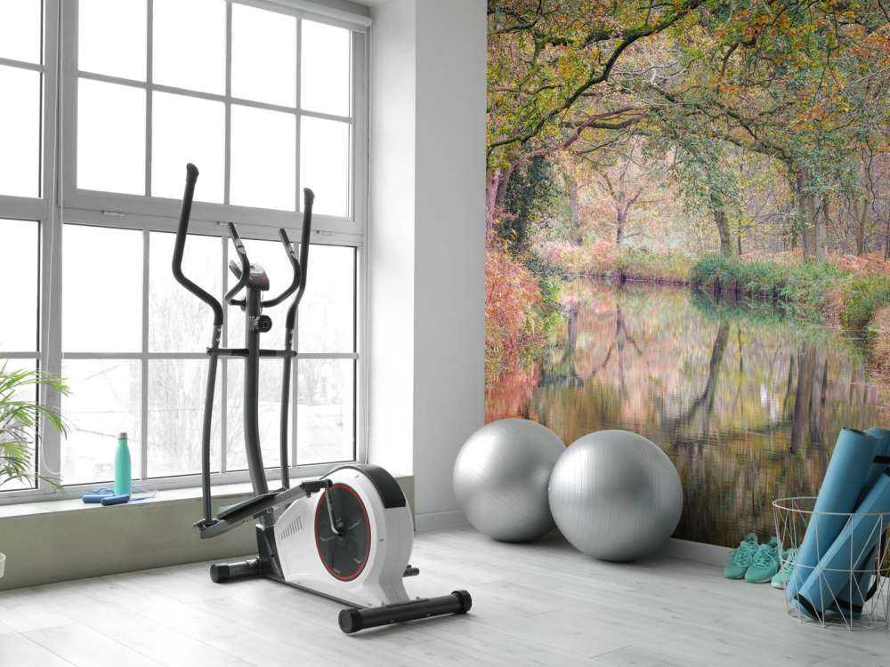 Täckt färgglad skog