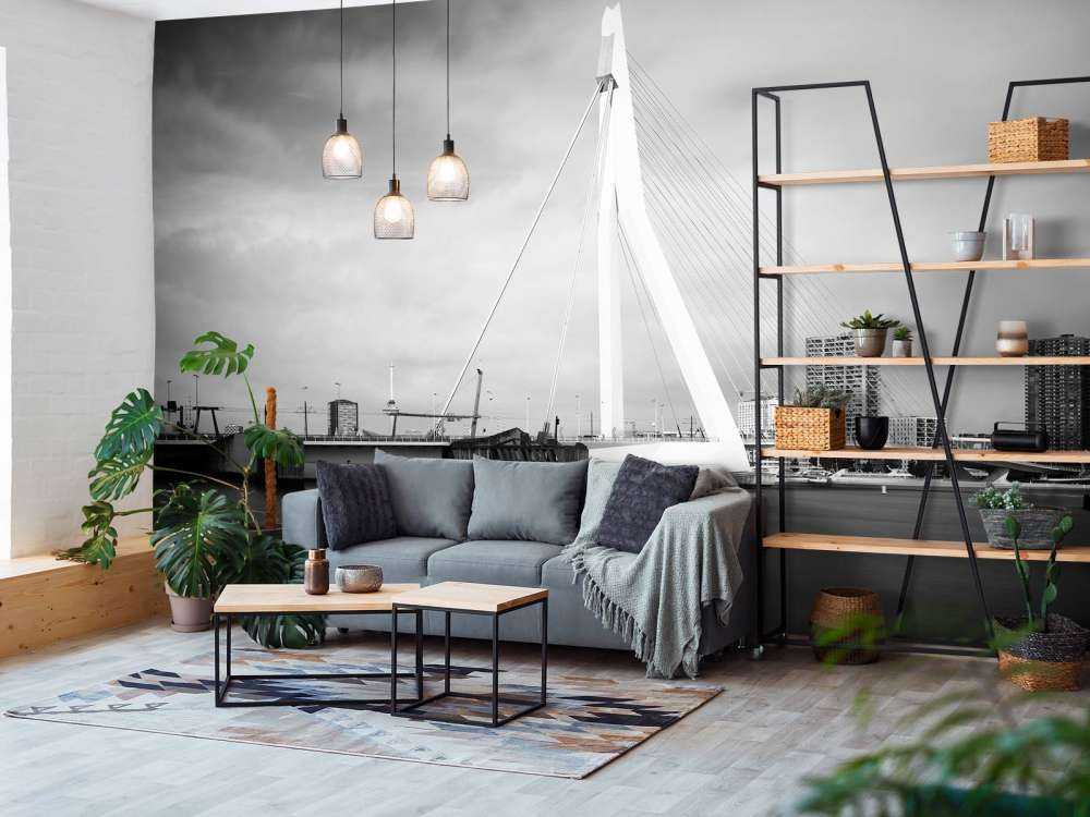 Erasmus bro Rotterdam