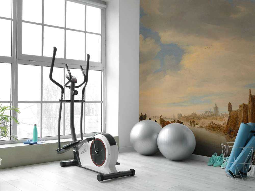 Vinterlandskap nära Arnhem