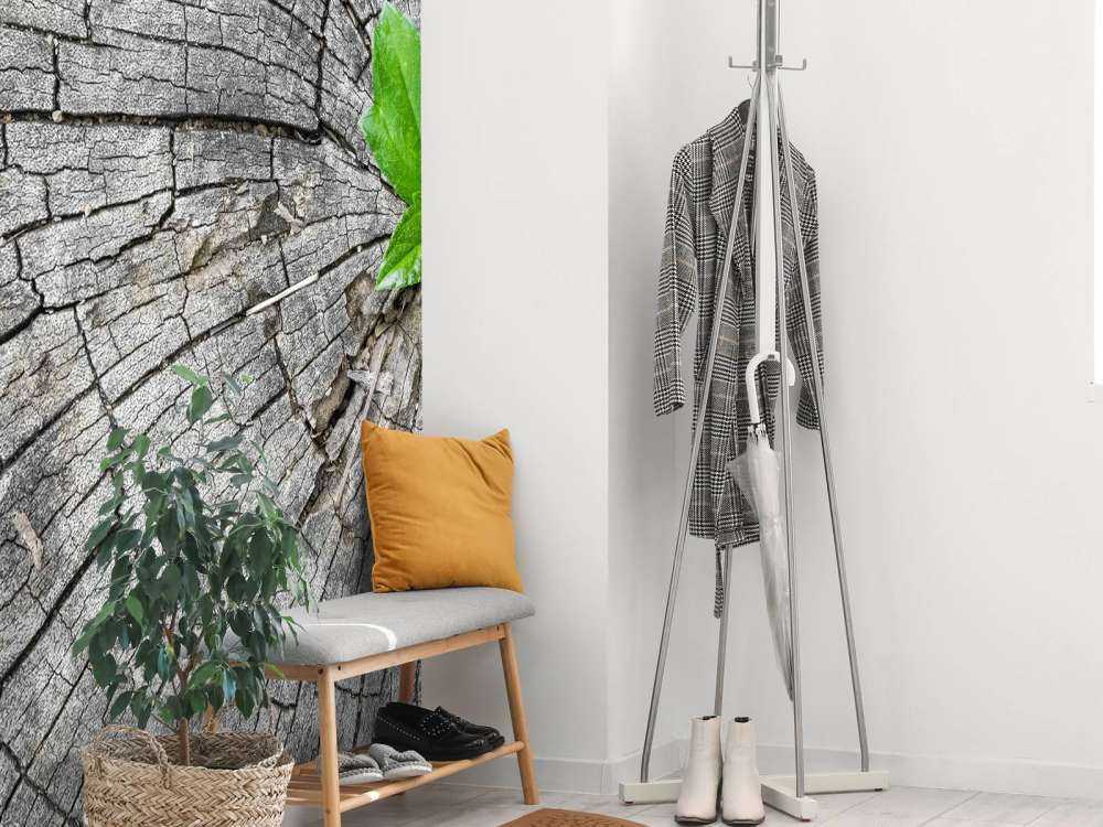 Diameter på en trädstam