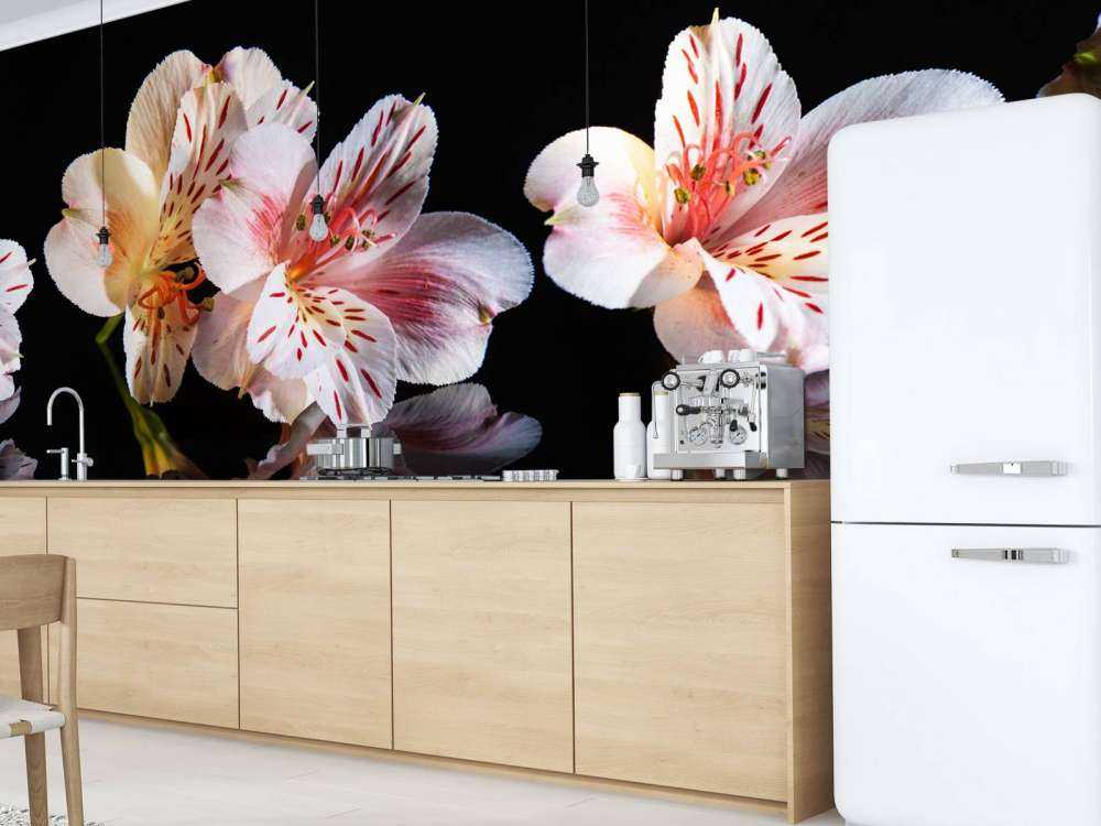 Alstroemeria blommar med reflektion