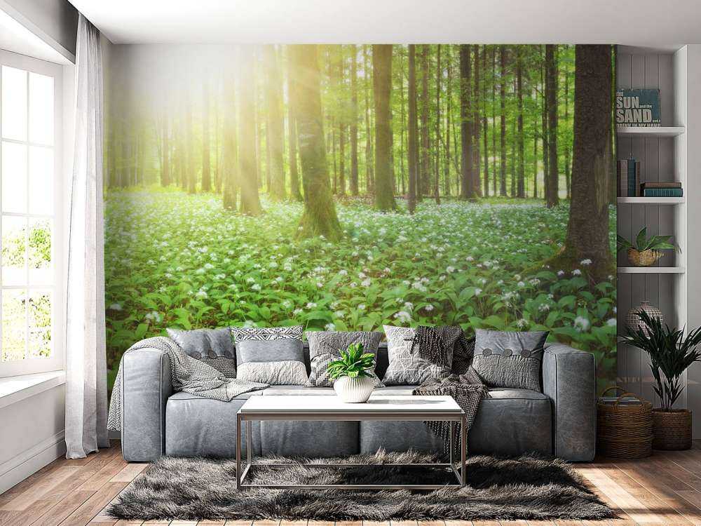 Vild skog vid soluppgång