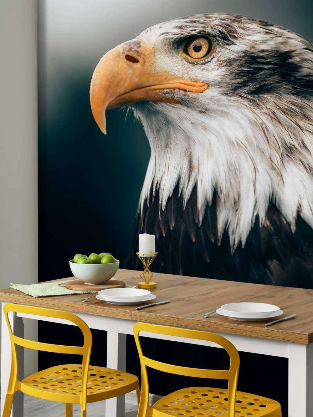 Närbild skallig örn