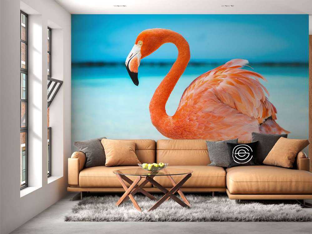 Tropiska flamingo