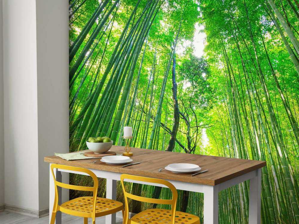 Bambuskog i Arashiyama
