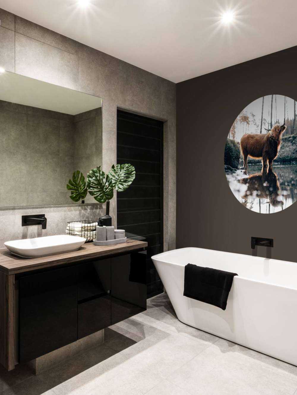 Skotsk høylander i vannet