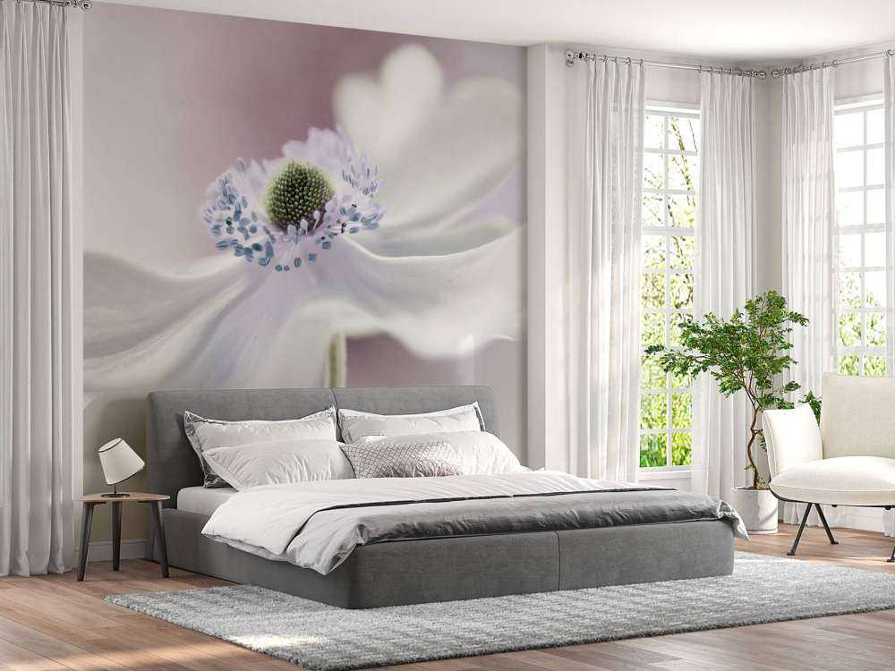 Anemone breeze