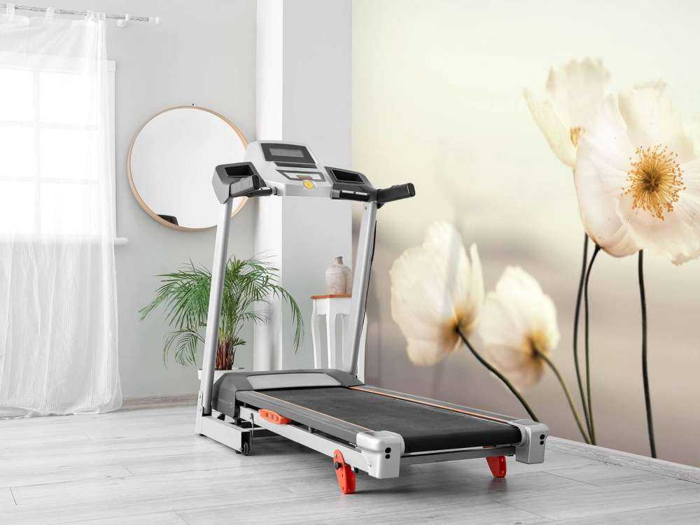 Hvite valmuer på nært hgammel