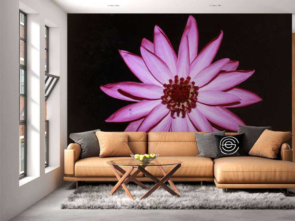 Lotusblomst ovenfra