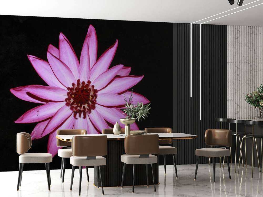 Lotusblomst ovenfra