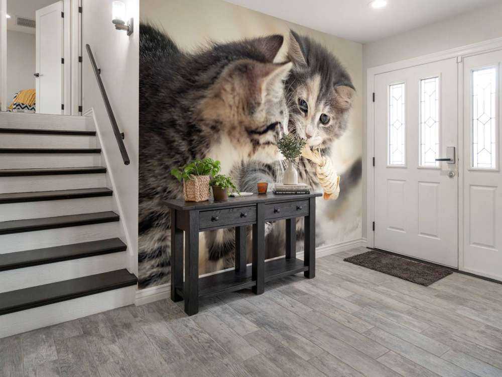 Leker kattunger