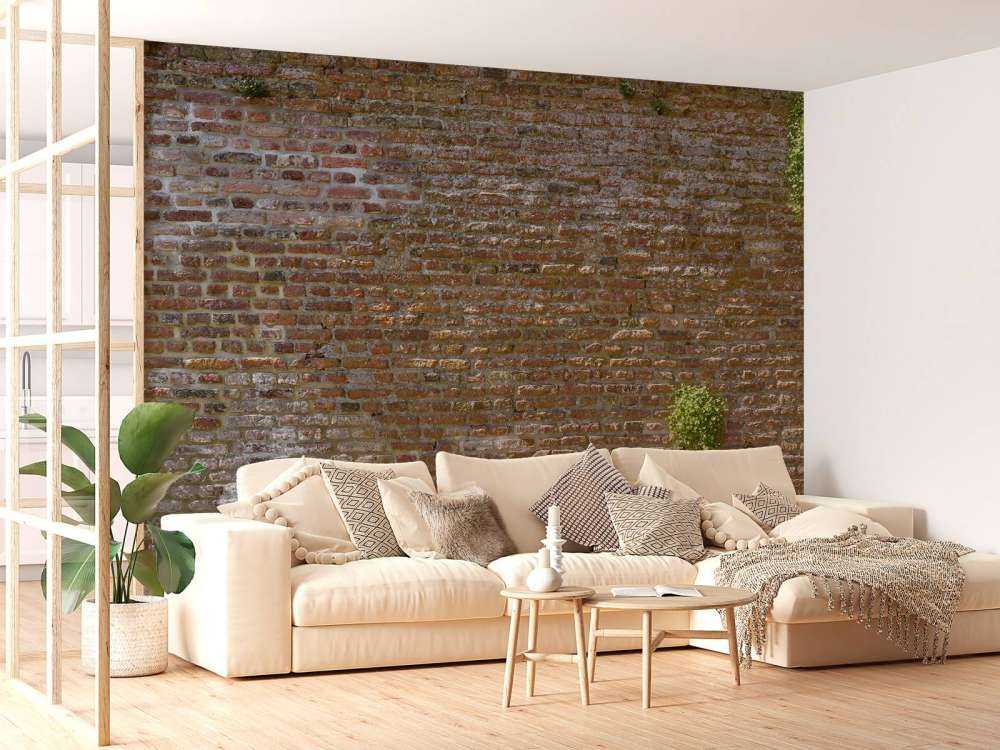 Gammel steinmur med planter