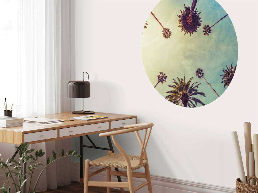 Sett nedenfra av palmer