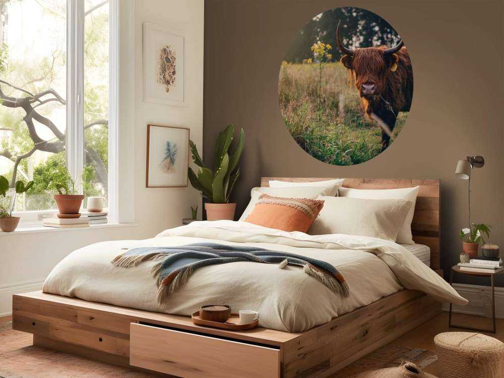 Det skotske høylandet i det høye gresset