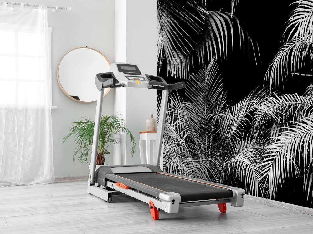 Plante med hvite blader