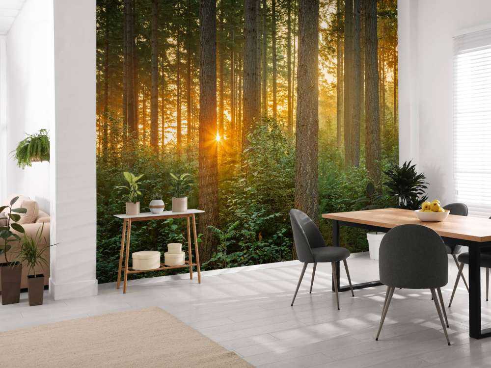 Solstråler i en barskog