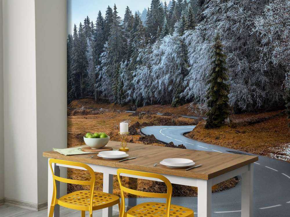 The road and the frozen trees