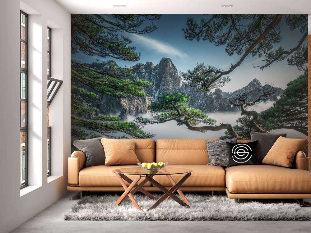 Strange pine tree in Yellow mountain