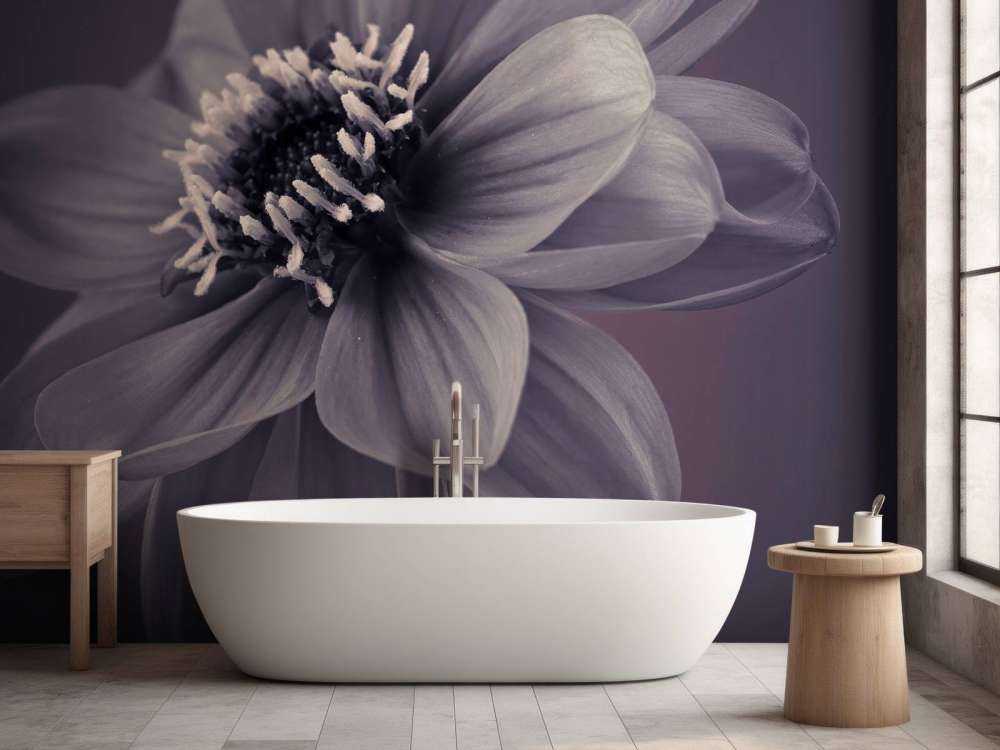 Mørk dahlia blomst