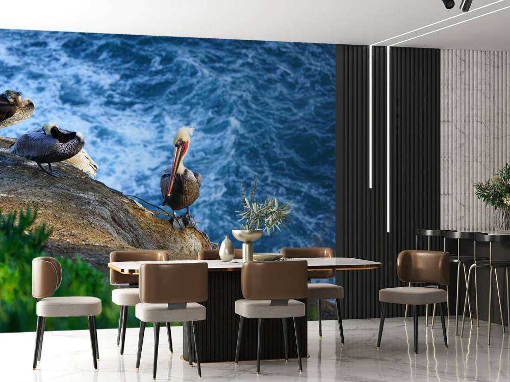 California Pelikaner