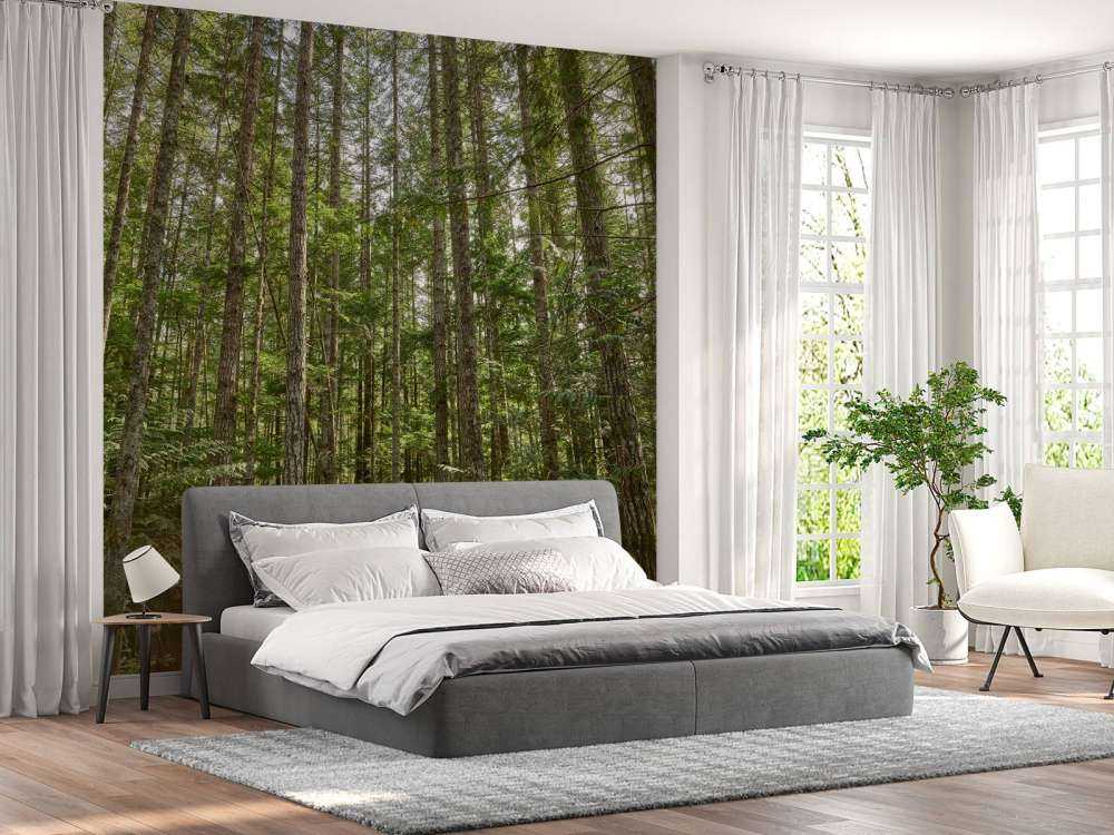 Tynne trær i skogen