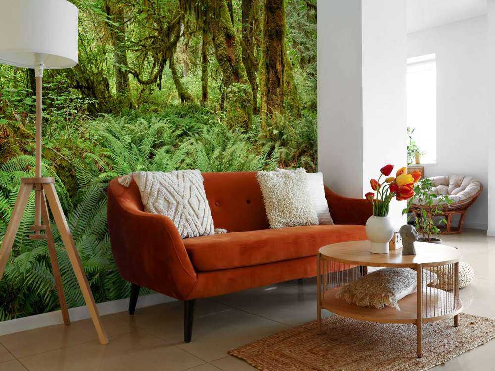 Bregner i en gammel skog