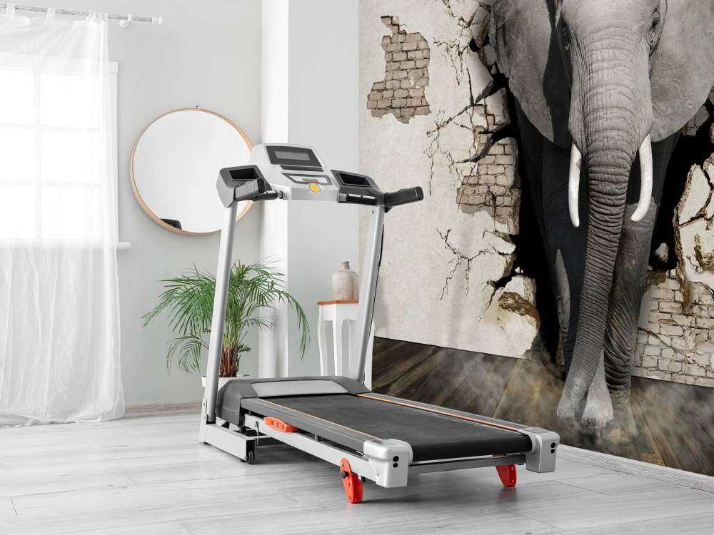 3D elefant fra veggen