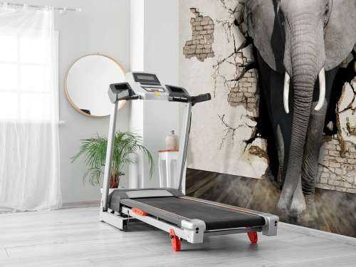 3D elefant fra veggen