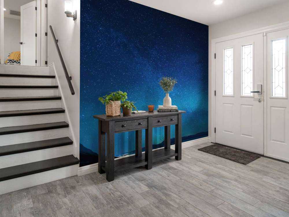 Stjernehimmel med nordlys