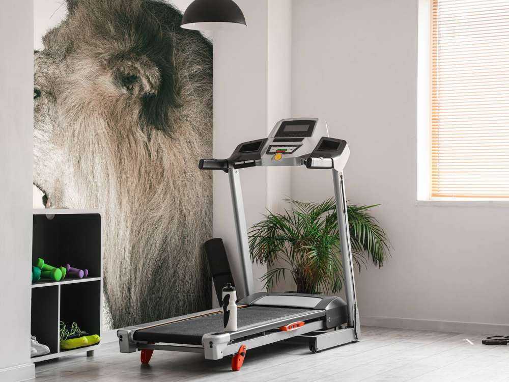 Brølende løve offwhite