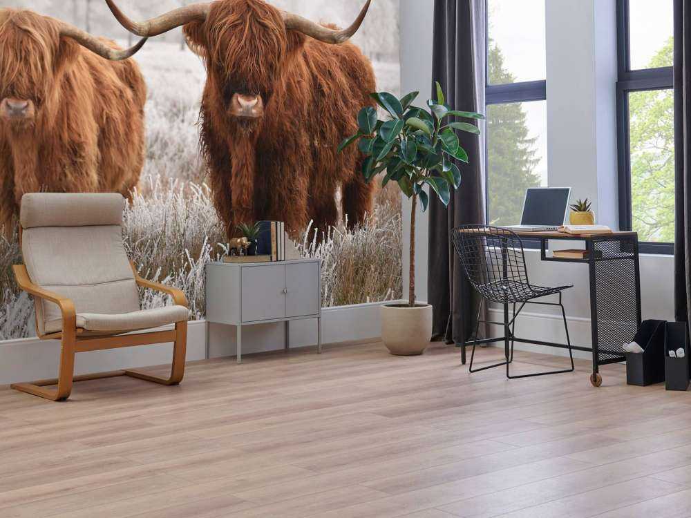 Vinter Høylandskveg