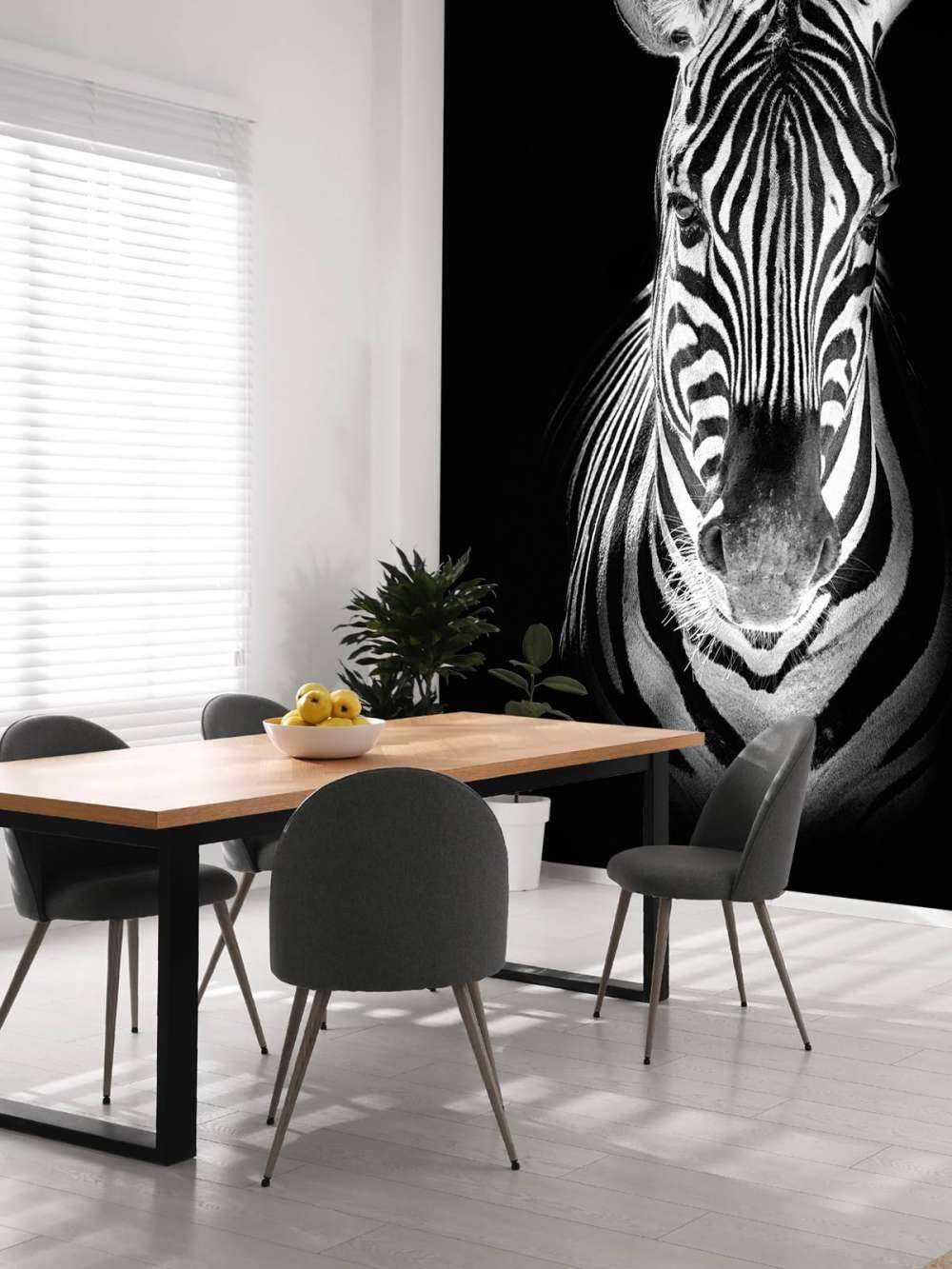 Nærbillede af zebra sort og hvid