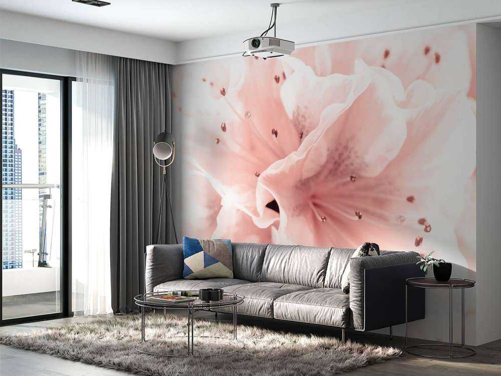 Azalea blomst