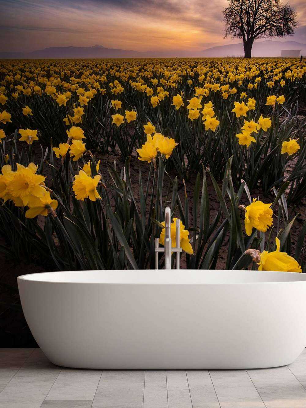 Mark med påskeliljer