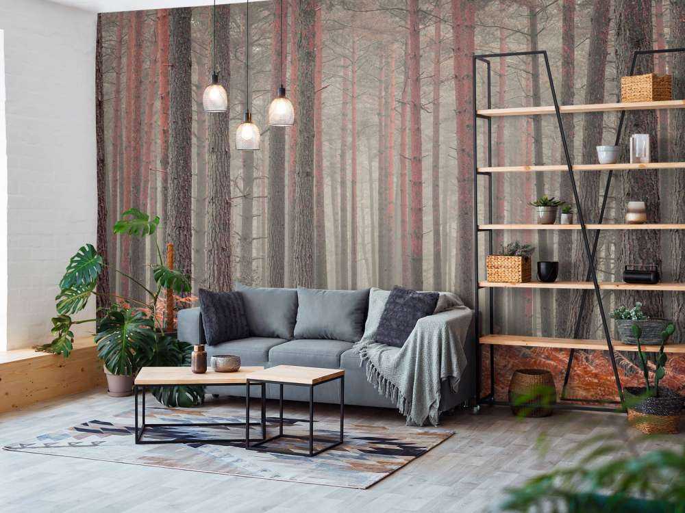 Træer om efteråret