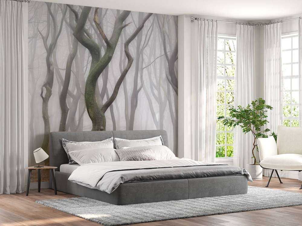 Early Morning Shuffle