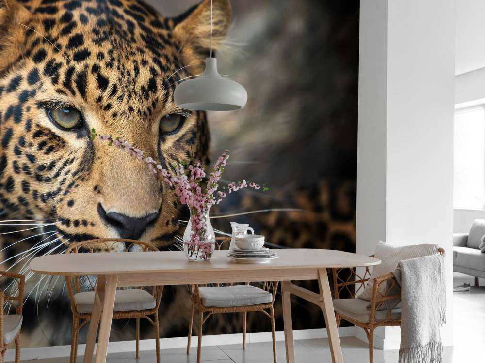 Luk op af en leopard