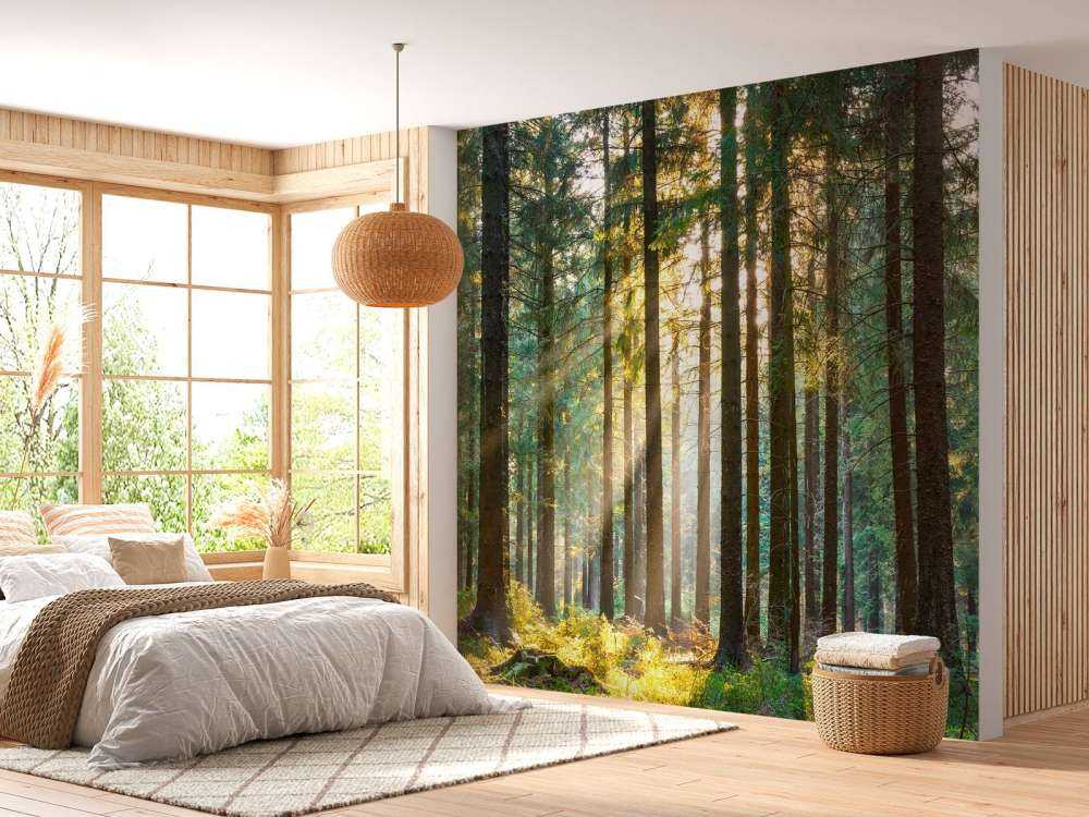 Stille skov