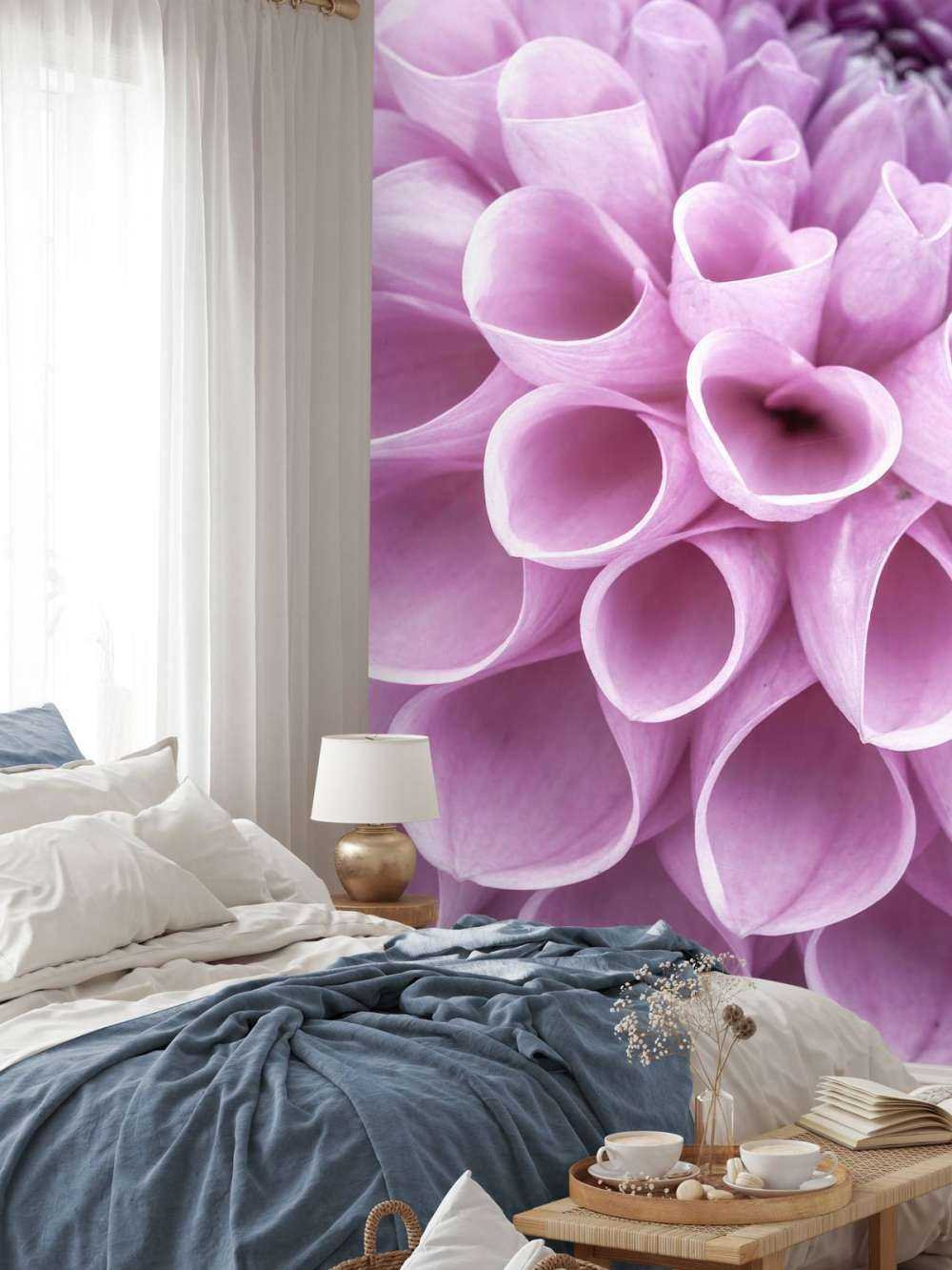 Lilla dahlia