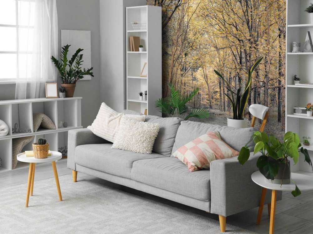 Skovvej i efteråret