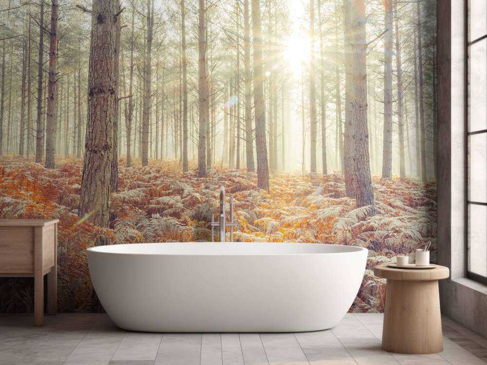 Solstråler gennem de kolde træer