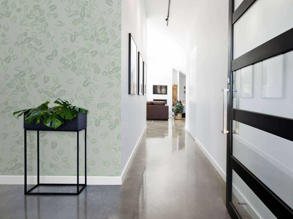 Små blade på grågrøn