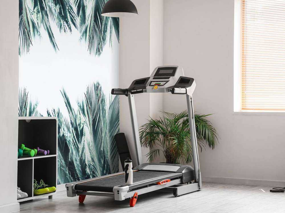 Palme blade på hvid baggrund