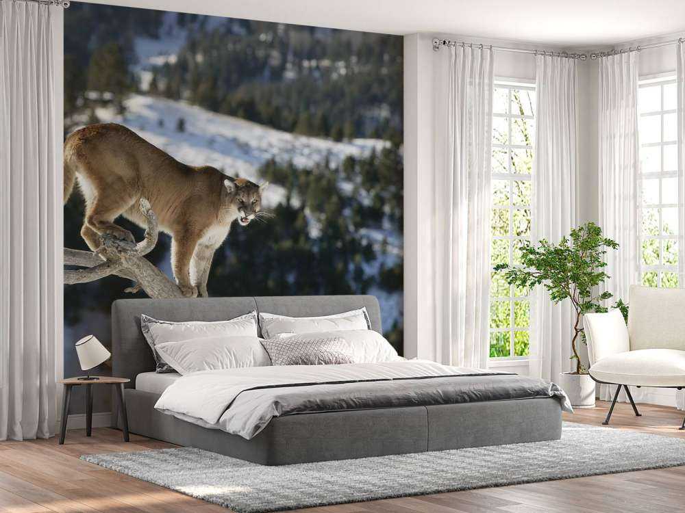 Bjergløve __på et dødt træ