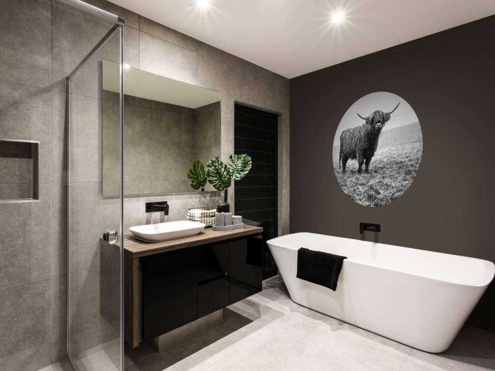 Scottish højlander i græsset