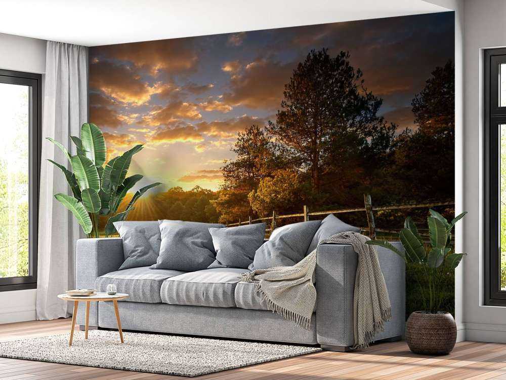 Græs ved solnedgang