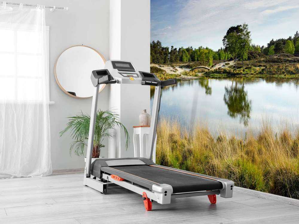 En lille skovsø i lyngområdet