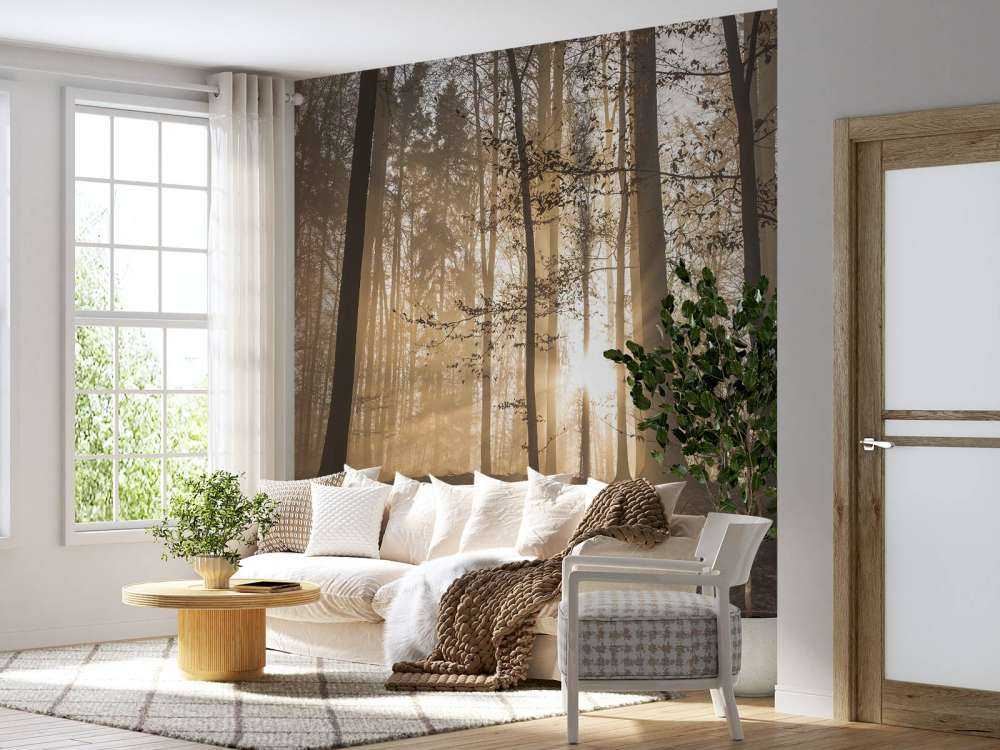 Solskin i en tåget skov