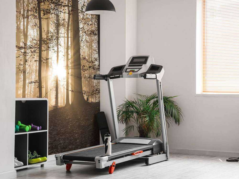 Solskin i en tåget skov